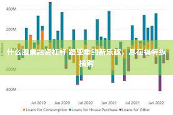 什么股票融资杠杆 路亚垂钓新乐趣，尽在福特纵横购