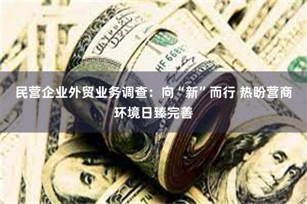 民营企业外贸业务调查：向“新”而行 热盼营商环境日臻完善