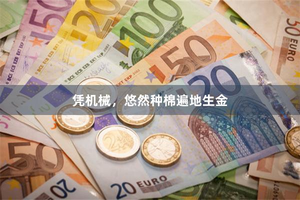 凭机械，悠然种棉遍地生金