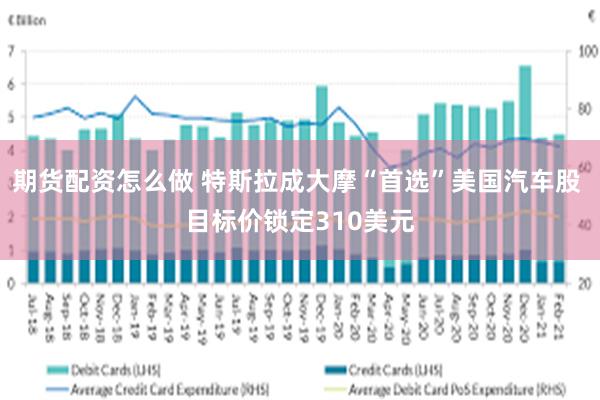 期货配资怎么做 特斯拉成大摩“首选”美国汽车股 目标价锁定310美元