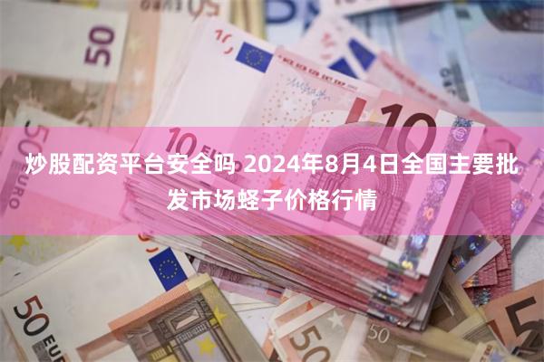 炒股配资平台安全吗 2024年8月4日全国主要批发市场蛏子价格行情