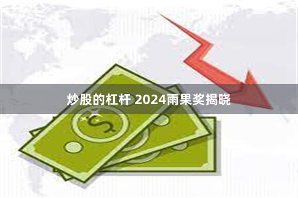 炒股的杠杆 2024雨果奖揭晓