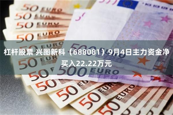 杠杆股票 兴图新科（688081）9月4日主力资金净买入22.22万元