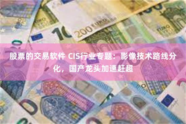 股票的交易软件 CIS行业专题：影像技术路线分化，国产龙头加速赶超