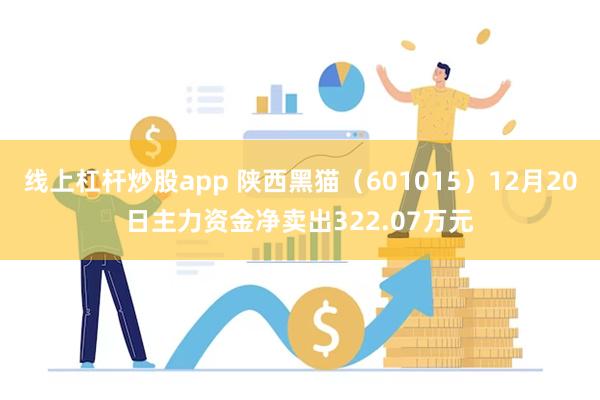 线上杠杆炒股app 陕西黑猫（601015）12月20日主力资金净卖出322.07万元