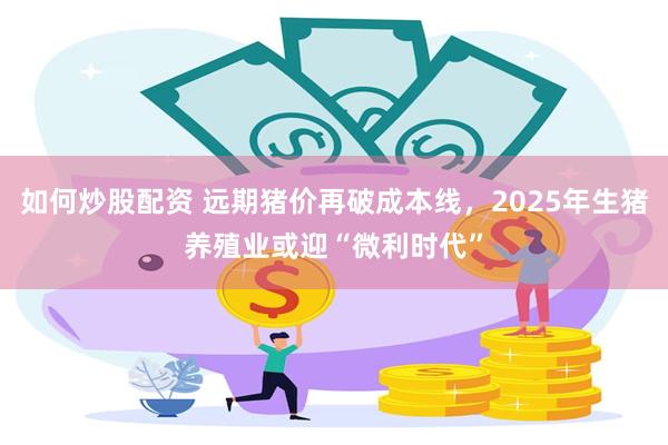 如何炒股配资 远期猪价再破成本线，2025年生猪养殖业或迎“微利时代”