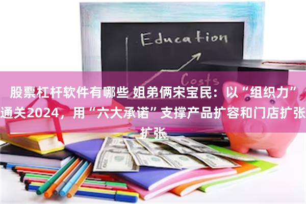 股票杠杆软件有哪些 姐弟俩宋宝民：以“组织力”通关2024，用“六大承诺”支撑产品扩容和门店扩张