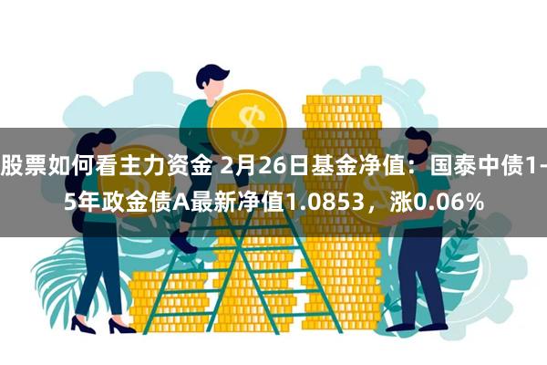 股票如何看主力资金 2月26日基金净值：国泰中债1-5年政金债A最新净值1.0853，涨0.06%