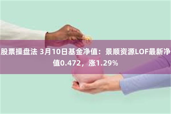 股票操盘法 3月10日基金净值：景顺资源LOF最新净值0.472，涨1.29%