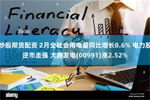 炒股期货配资 2月全社会用电量同比增长8.6% 电力股逆市走强 大唐发电(00991)涨2.52%