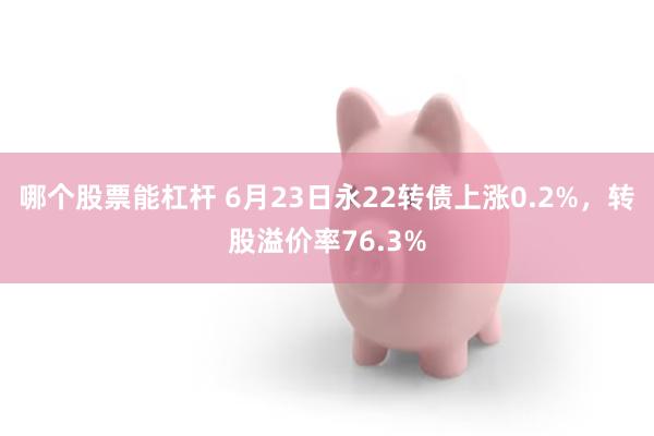 哪个股票能杠杆 6月23日永22转债上涨0.2%，转股溢价率76.3%
